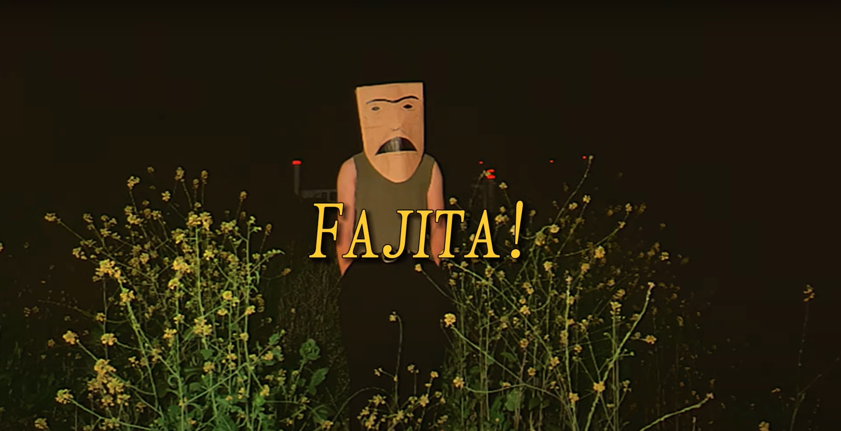 Load video: 